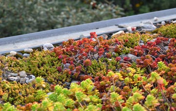 the cost of Harlthorpe green roof installation