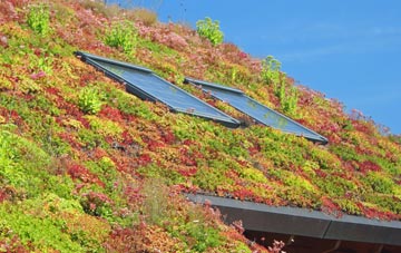 Harlthorpe living roof systems
